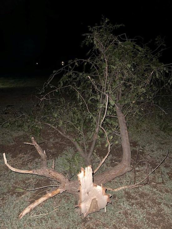 Пострадавшие в калмыцких селах после урагана объекты восстановят в ближайшее время