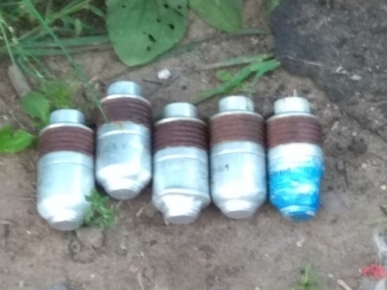 В Архангельске возле деревянного дома были найдены гранаты