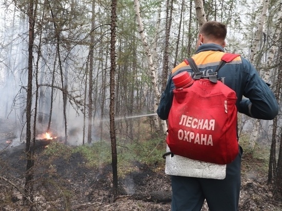 Жители пострадавшего от лесного пожара села в Якутии получили выплаты