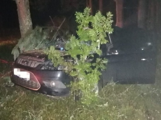 В Тверской области легковушка слетела с дороги и врезалась в дерево