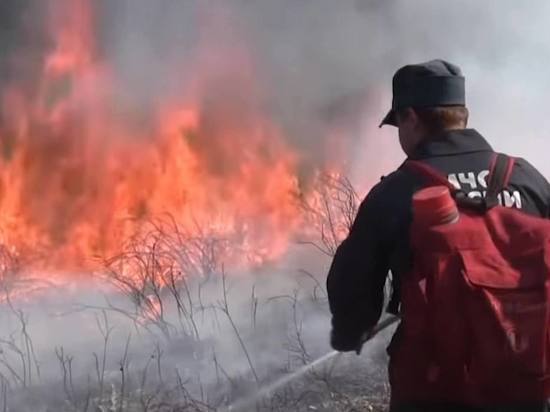 Юрий Трутнев потребовал скоординировать работу по тушению пожаров в Якутии