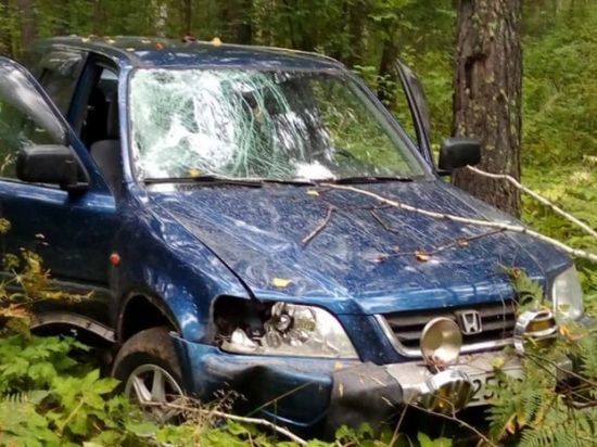 Иномарка сбившего насмерть велосипедиста найдена в лесу под Новосибирском