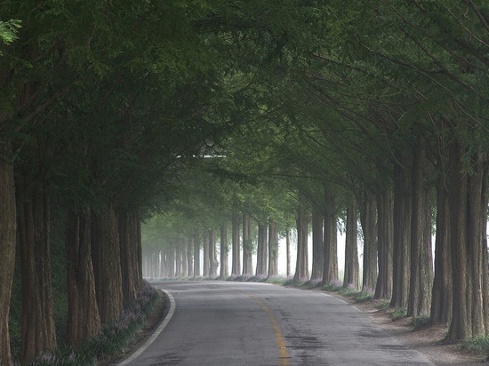 В ДНР возобновляют работу КПВВ "Еленовка"