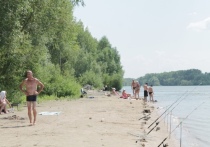 Начало рабочей недели в Новосибирске будет по-настоящим теплым
