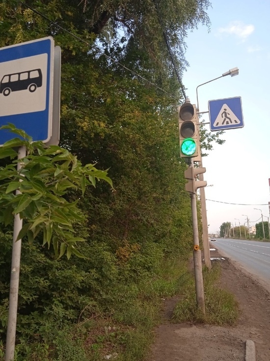 Упавшее дерево устроило «зелёную» улицу на окраине Омска
