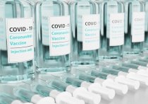 В Забайкальском крае 245058 жителей полностью привились от коронавирусной инфекции, еще 296153 человека поставили первый компонент вакцины от COVID-19, сообщили в пресс-службе регионального правительства