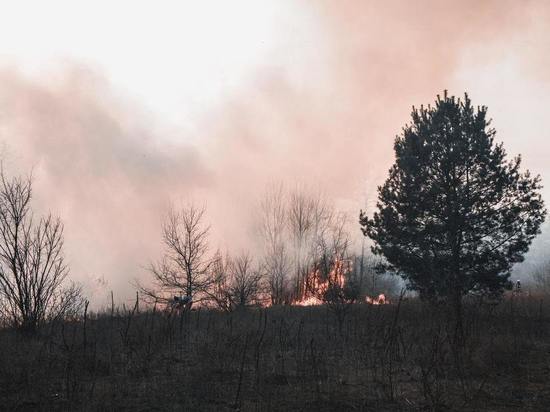 За сутки в Башкирии возникло 6 очагов природных пожаров
