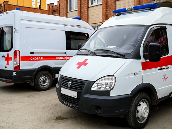 В Челябинской области за сутки от ковидной пневмонии скончались 20 человек