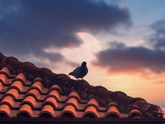 В ЛНР молодой парень погиб во время кровли крыши