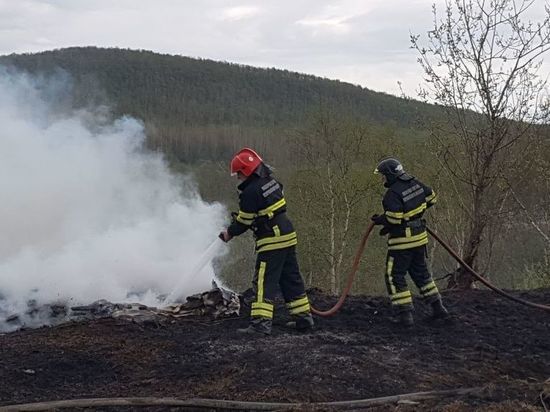 Десантники авиалесоохраны Мурманской области за последние сутки помогли локализовать 11 пожаров