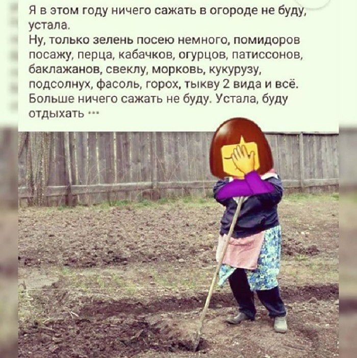 9858035_6116279.jpg