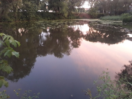 Из пруда в рязанской Дашково-Песочне взяли пробы воды после гибели рыбы и уток
