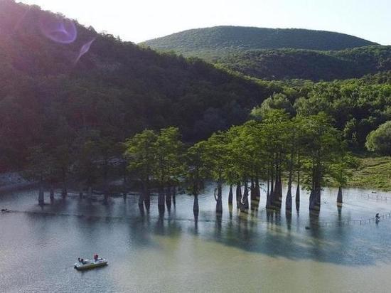 Кипарисовое озеро под Анапой закрыли из-за подъёма воды