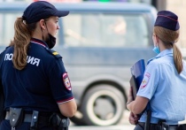 Правоохранительные органы задержали молодого новосибирца, которые подозревается в сексуальном насилии над 13-летней девочкой