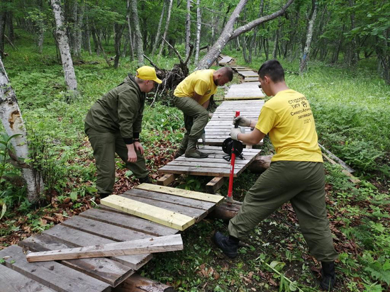 Студенты из Хабаровска работали на экологических тропах в Сихотэ-Алинском заповеднике