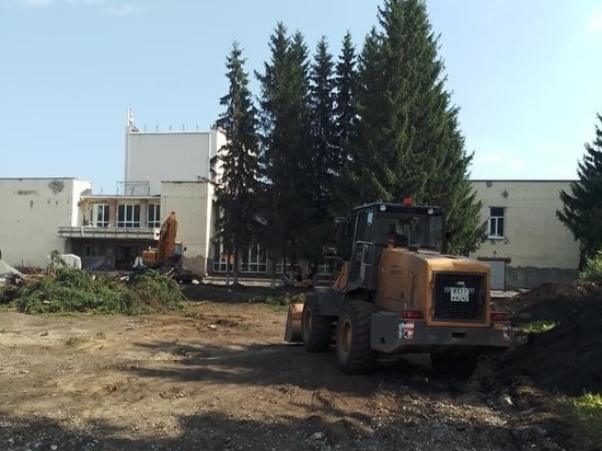 В Кемеровском районе уничтожают высаженные ветеранами ВОВ ели