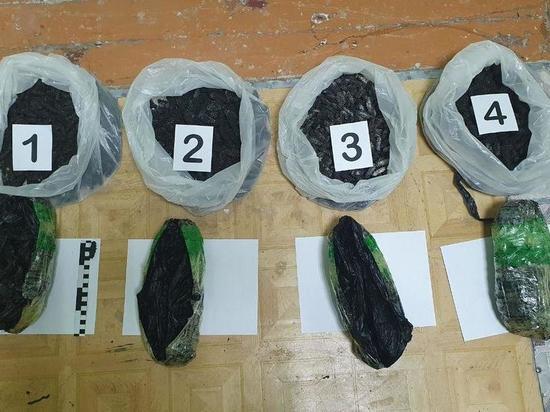 Трепанг пытались вывезти в вагоне с лесом из Забайкалья в КНР