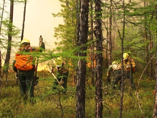 В Киренском районе Приангарья потушили все лесные пожары