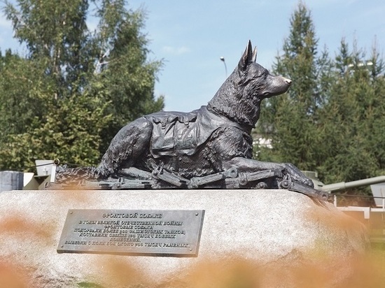 Югорчане посмотрят онлайн-экскурсию ко Дню фронтовой собаки