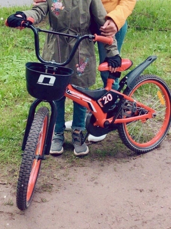 Подросток отобрала в Пскове велосипед у маленькой девочки