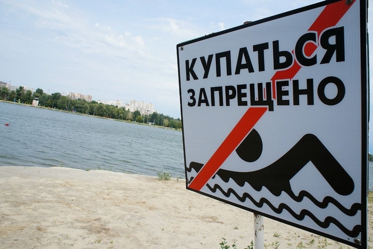 Летние итоги: костромичи за купание в неположенных местах заплатили штрафов на 70 тысяч рублей