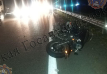 Накануне,16 августа, на 149-ом километре дороги М-4 "Дон" в Веневском районе произошла авария