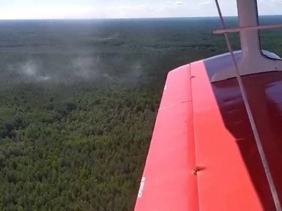 В Чепецке горели леса