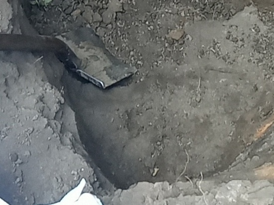 В Курске на месте расстрелов жителей в Знаменской роще в период оккупации поисковики нашли останки 29 человек