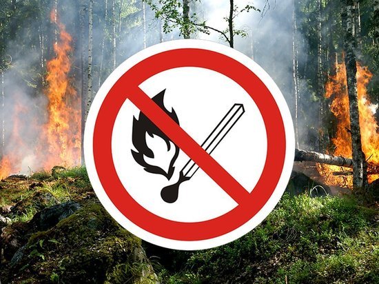 Пожар в Кологривском лесу наконец-то ликвидирован