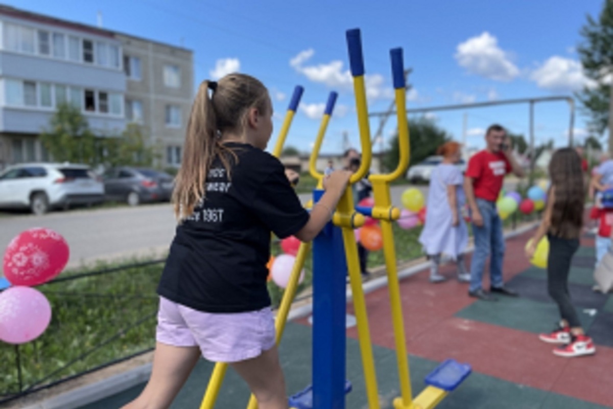 Костромской фитнесс: жители деревни Шолохово получили тренажерную площадку