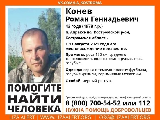 Костромские волонтеры  ищут пропавшего жителя поселка Апраксино