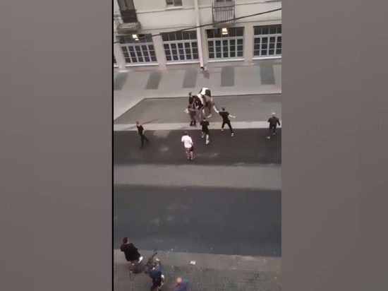 Неадекватные петербуржцы избили лошадь, пытаясь забраться на нее у бара «Трудовые будни» на Рубинштейна