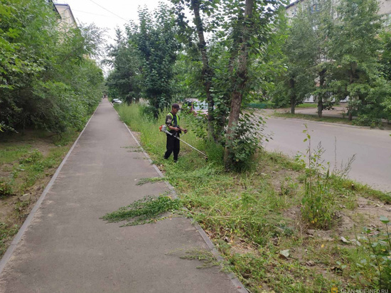 Прокуратура Бурятии проверит обоснованность жалоб на заросший травой город Улан-Удэ