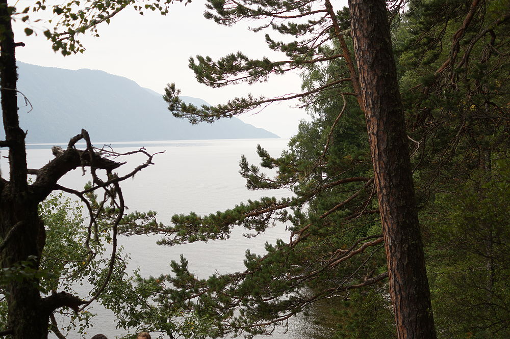 Красоты Алтая: как выглядит Телецкое озеро в августе