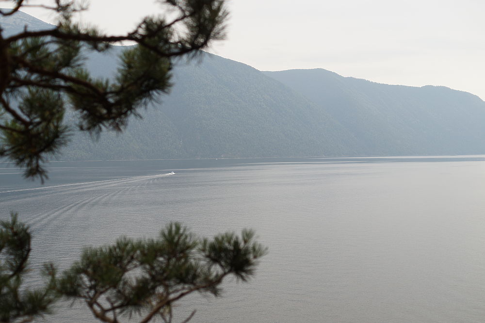 Красоты Алтая: как выглядит Телецкое озеро в августе