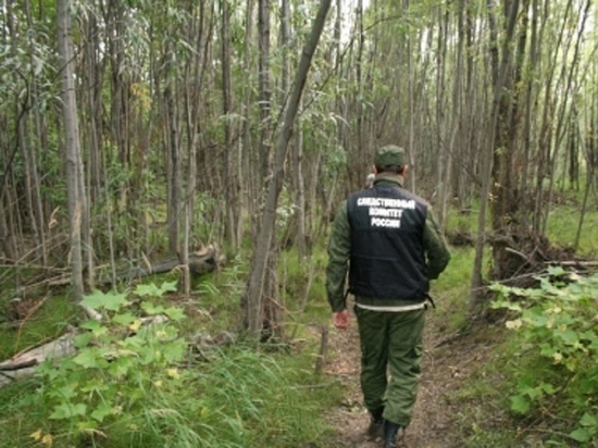Житель Колымы задушил товарища в лесу и утопил тело
