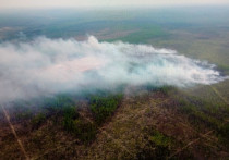 Шесть лесных пожаров потушили в лесах Приангарья за сутки