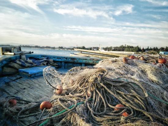 Сахалинский рыбокомбинат наказали за рыбу во Владивостоке