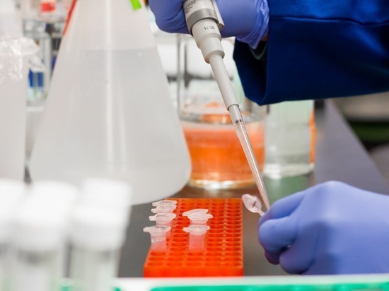 517 106  лабораторных исследований на коронавирус с начала пандемии провели на Смоленщине