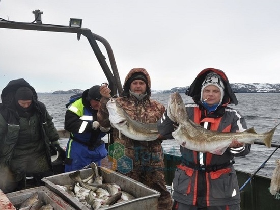Рыбаки Заполярья хотят сохранить механизм учета выловленной рыбы