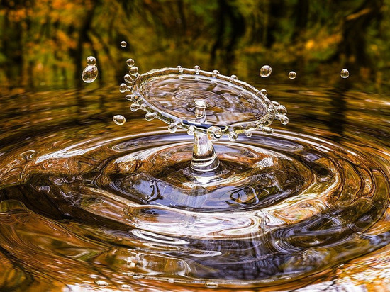 В водоеме Донецка утонула женщина