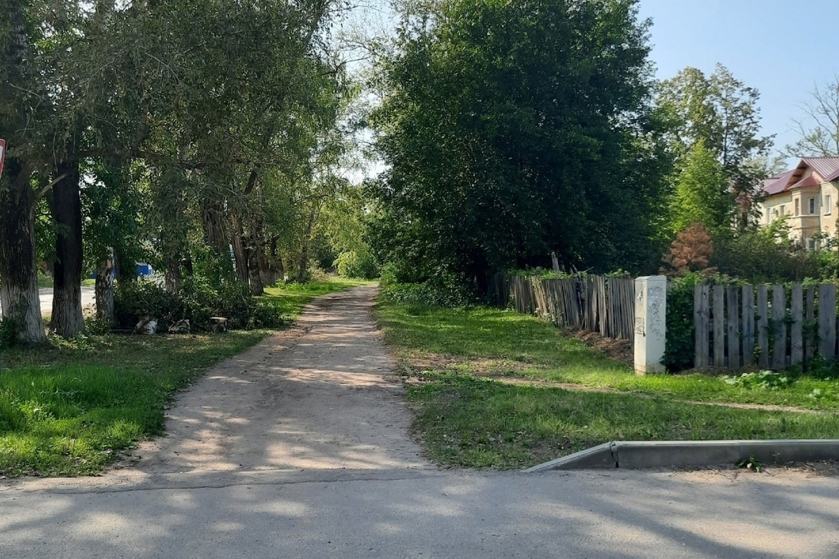 В Жердевке и Моршанске после жалоб жителей в соцсетях убрали упавшие  деревья - МК Тамбов