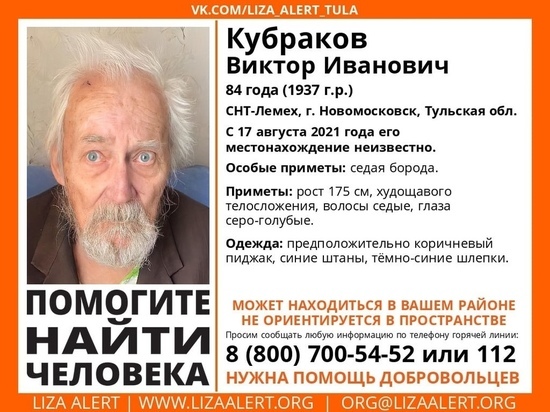 В Тульской области ищут пропавшего 84-летнего мужчину