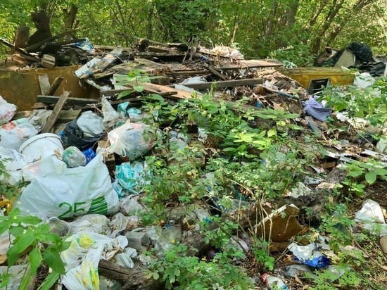 Возле села Шумашь под Рязанью обнаружили незаконную свалку