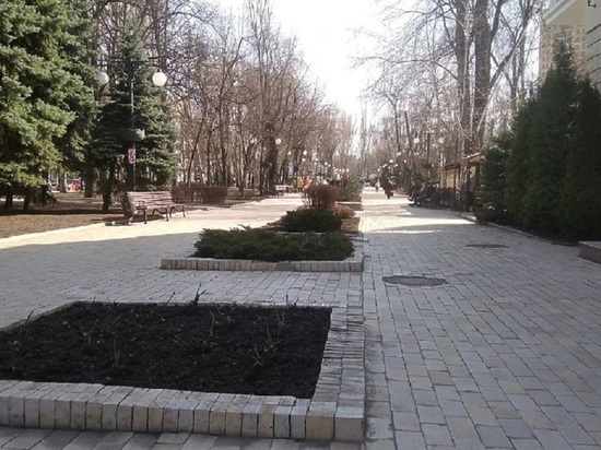 В Донецке проведут этнофестиваль