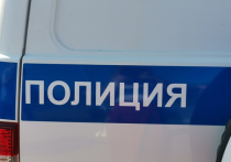 Житель Санкт-Петербурга "нарвался" на приключения на автомобильной заправке в Ефремове Тульской области