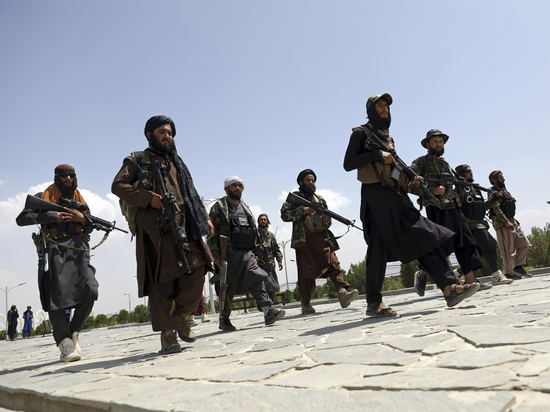 Захарова прокомментировала ситуацию в Афганистане: «Талибы взялись за наведение порядка»