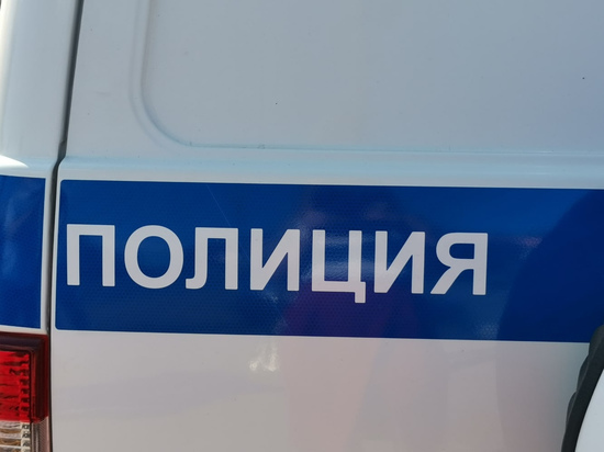 Житель Санкт-Петербурга "нарвался" на приключения на автозаправке под Тулой