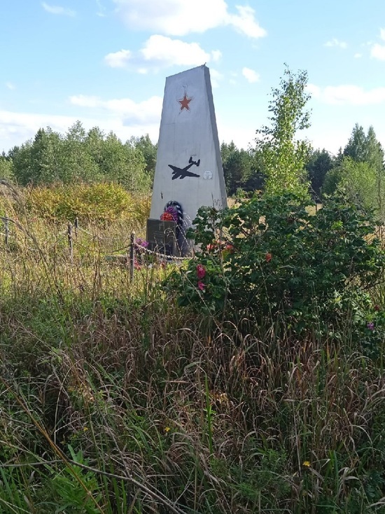 Зарастают памятники. Памятники экипажу пе 2. Памятник разбившемуся экипажу Заозерье. Обелиск экипажу пе 2 рядом с х камыши.