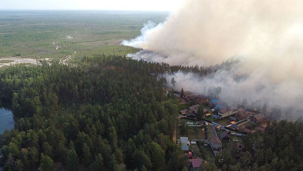 У озера Карась второй день борются с лесным пожаром